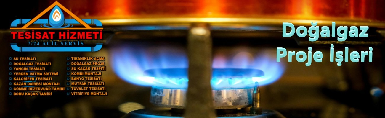 Doğalgaz Proje